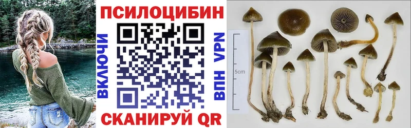Псилоцибиновые грибы мухоморы  Апрелевка 